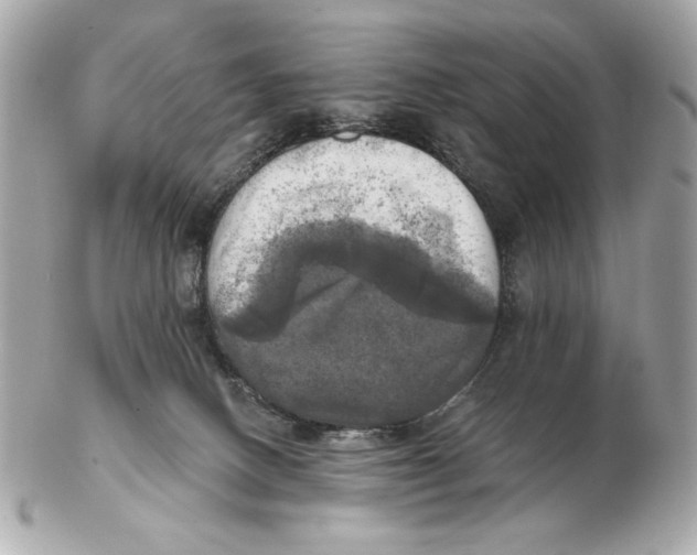 X0000102500082200808291721