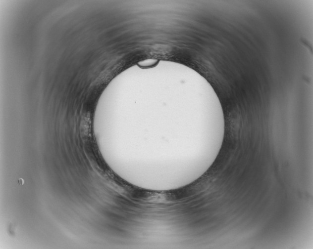 X0000102500083200808291721