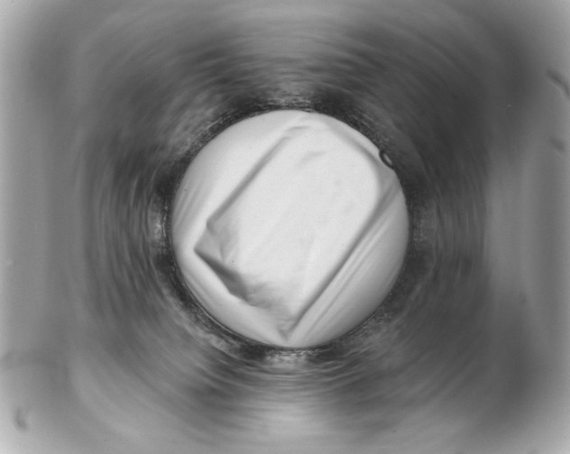 X0000102500084200808291721