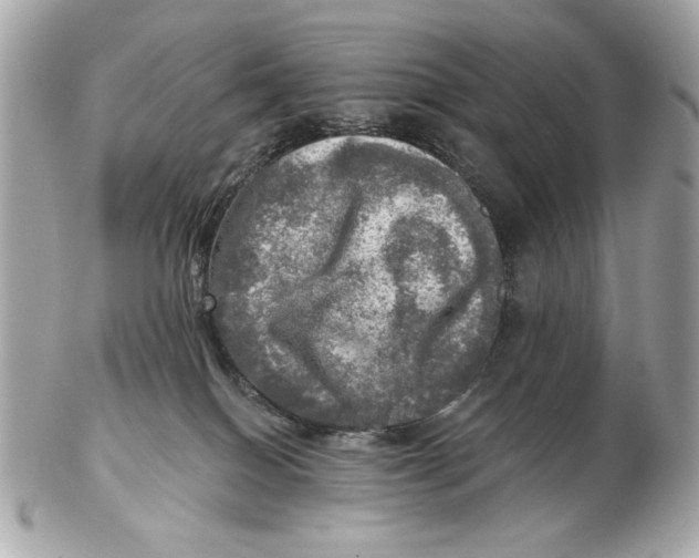 X0000102500086200808291721