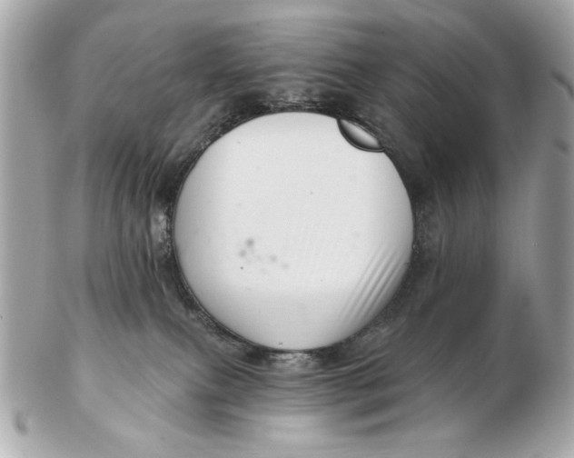 X0000102500087200808291721