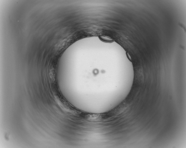 X0000102500088200808291721