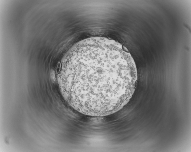 X0000102500089200808291721