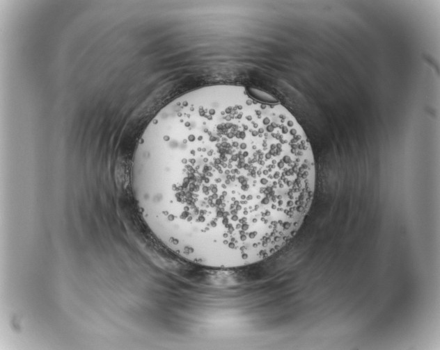 X0000102500091200808291721