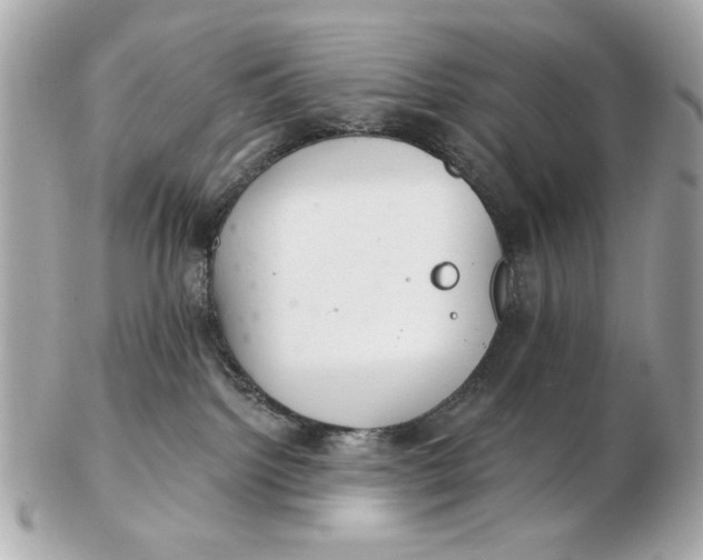 X0000102500092200808291721