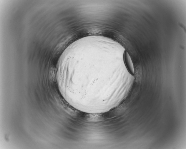 X0000102500093200808291721