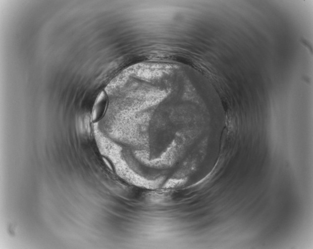 X0000102500094200808291721