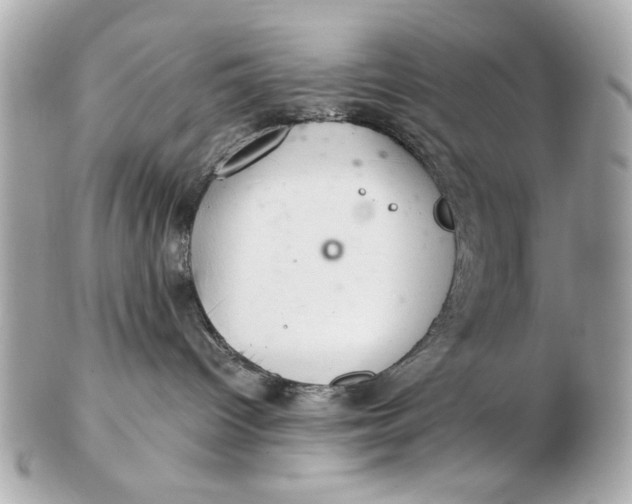 X0000102500096200808291721