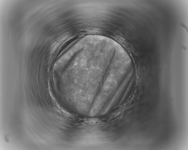 X0000102500097200808291720