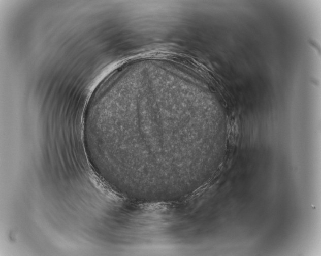 X0000102500100200808291720