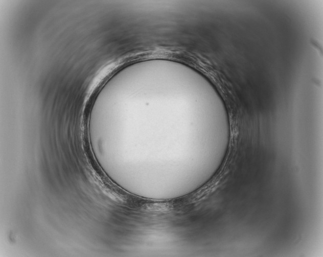 X0000102500102200808291720