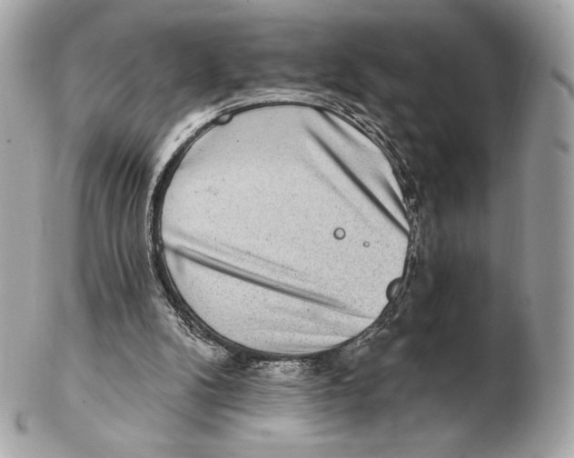 X0000102500104200808291720