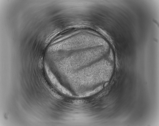 X0000102500105200808291720