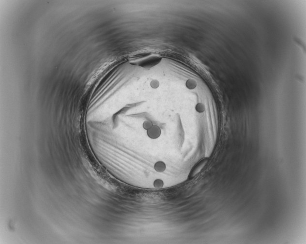 X0000102500106200808291720