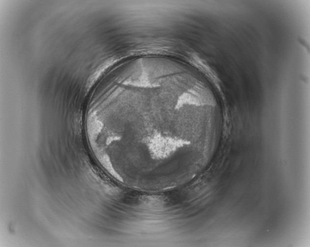 X0000102500107200808291720