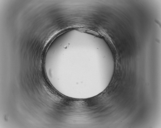 X0000102500108200808291720