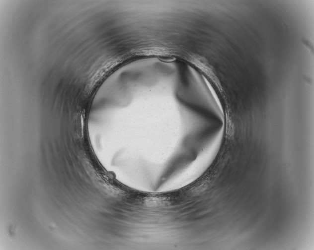 X0000102500109200808291720