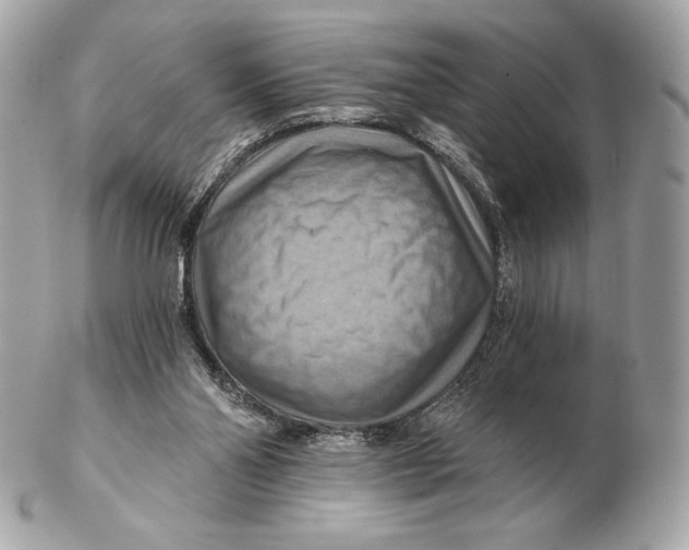 X0000102500110200808291720