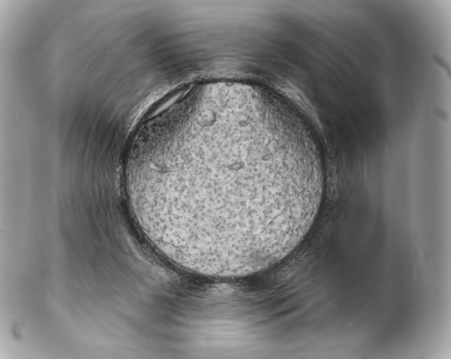 X0000102500111200808291720