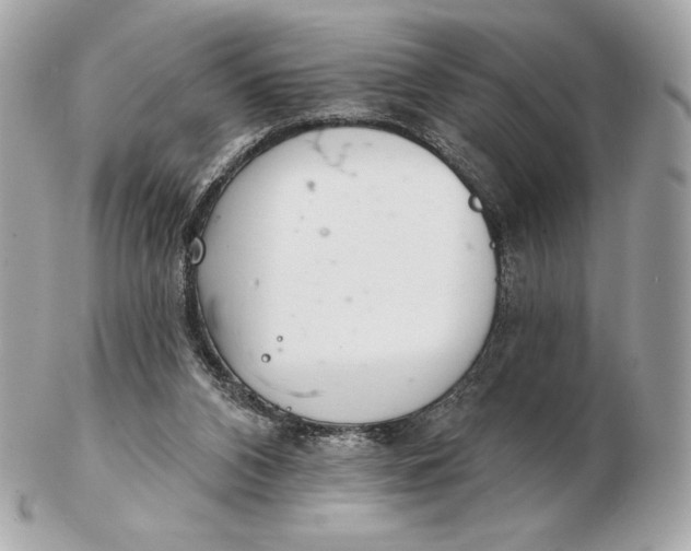 X0000102500112200808291720