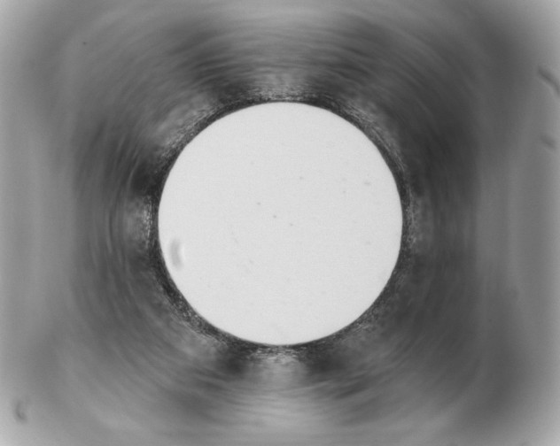 X0000102500113200808291720