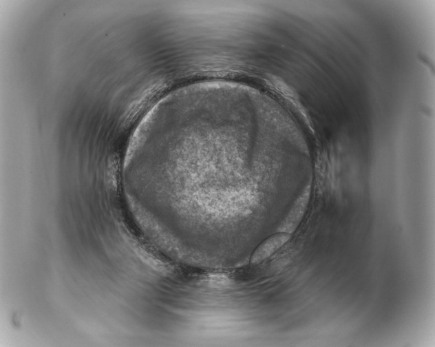 X0000102500114200808291720