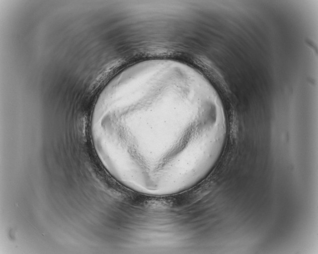 X0000102500115200808291720