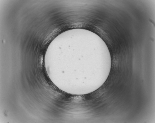 X0000102500118200808291720