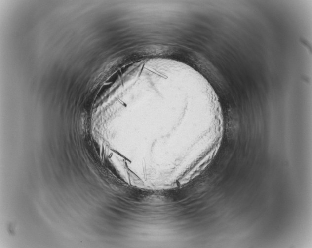 X0000102500119200808291720