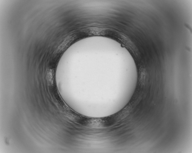 X0000102500121200808291720