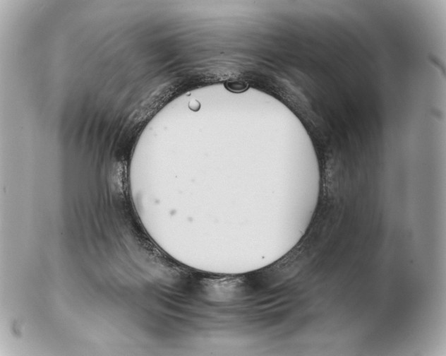 X0000102500122200808291720