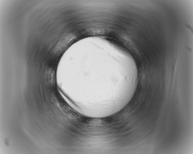 X0000102500123200808291720