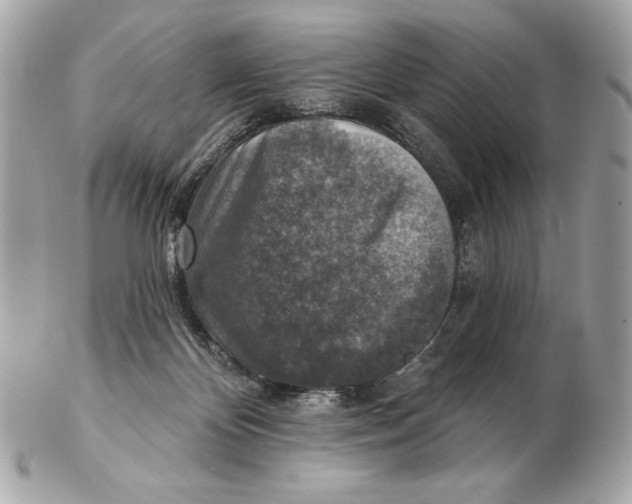 X0000102500124200808291720