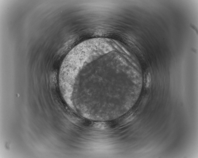 X0000102500127200808291720