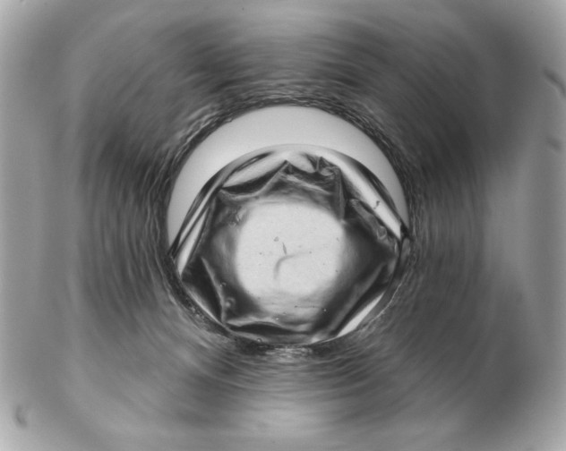 X0000102500128200808291720