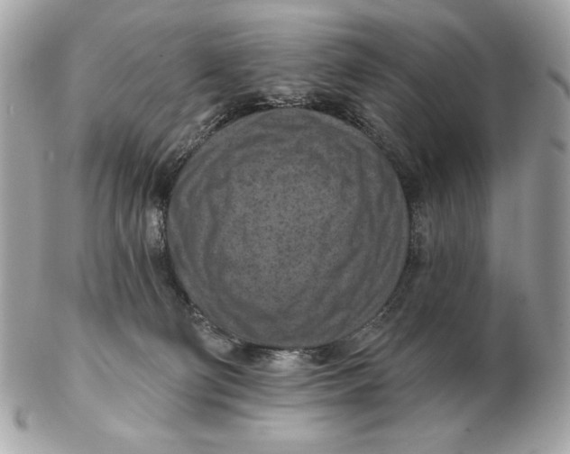 X0000102500130200808291720