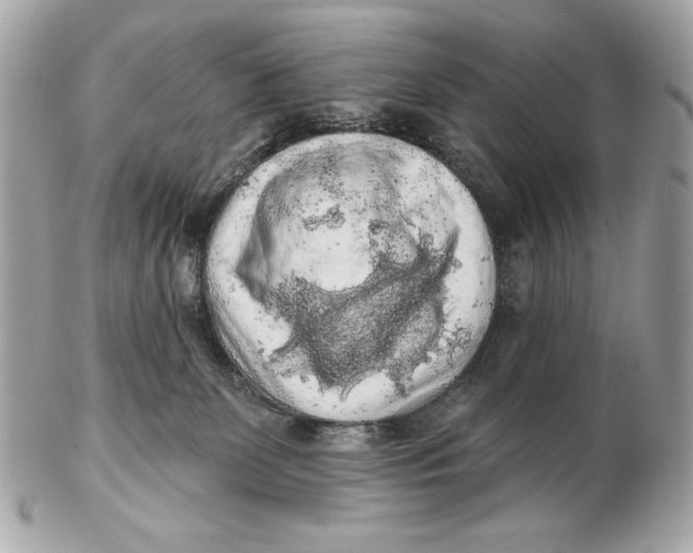 X0000102500131200808291720