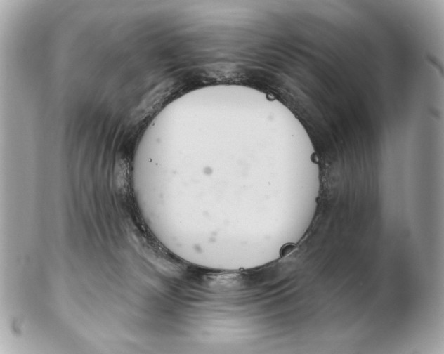 X0000102500132200808291720