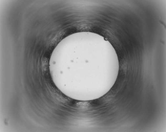 X0000102500133200808291720