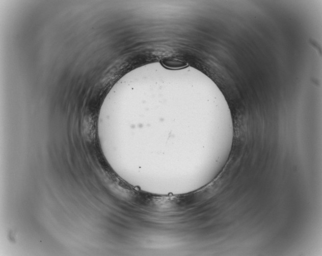 X0000102500136200808291720