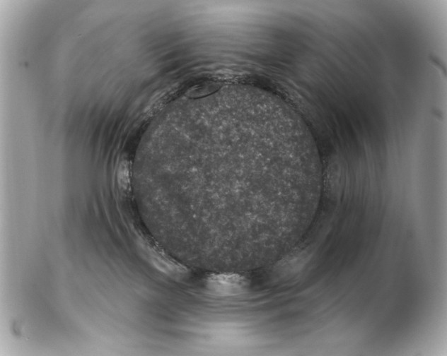 X0000102500137200808291720