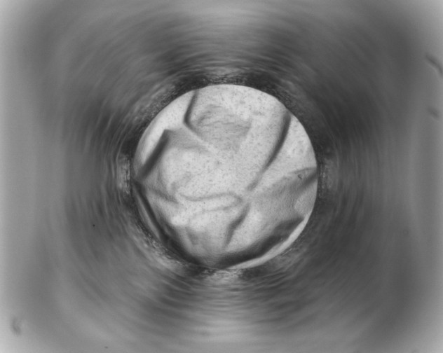 X0000102500138200808291720