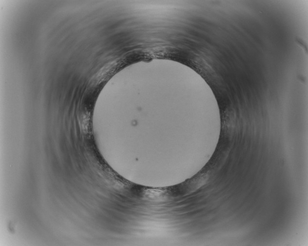 X0000102500139200808291720