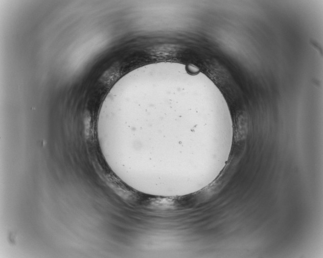 X0000102500140200808291720