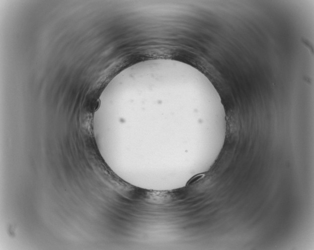 X0000102500141200808291720