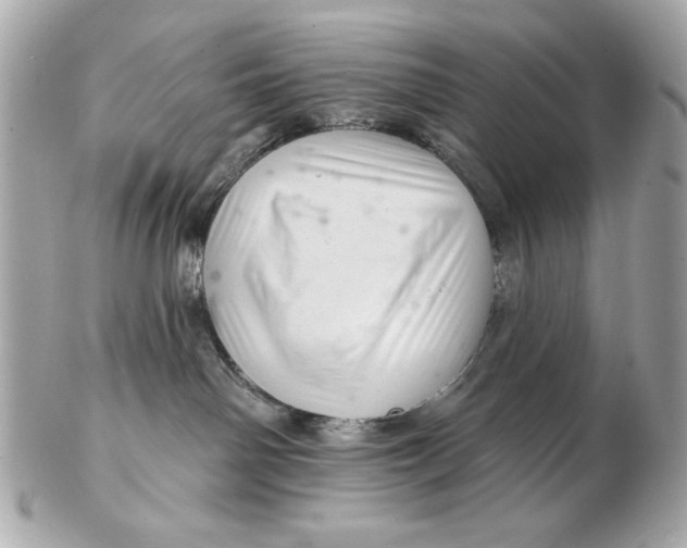 X0000102500142200808291720