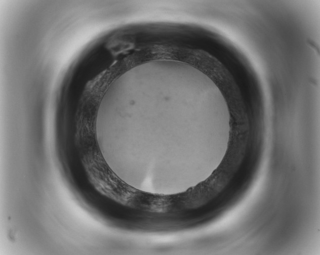 X0000102500143200808291719