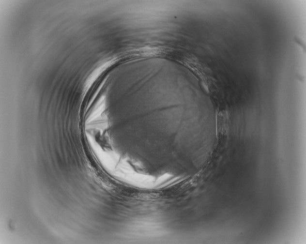 X0000102500147200808291719