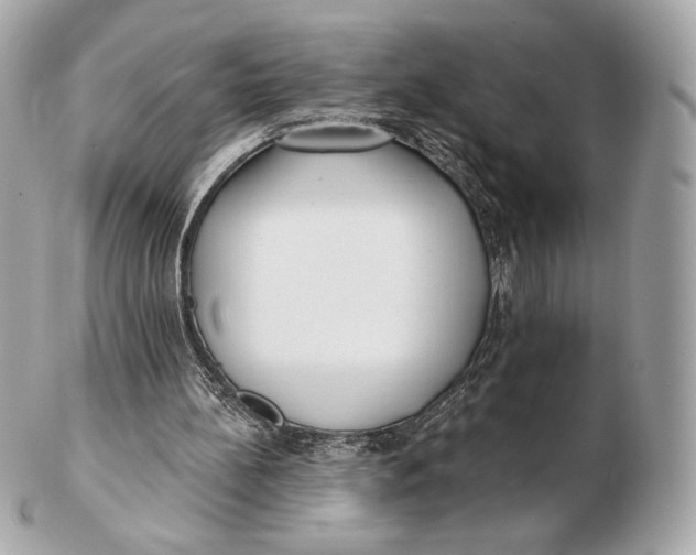 X0000102500148200808291719