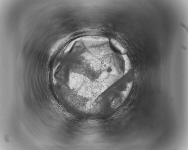 X0000102500149200808291719